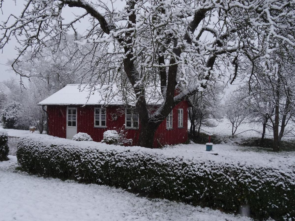 Apartament Hansenhof Kappeln